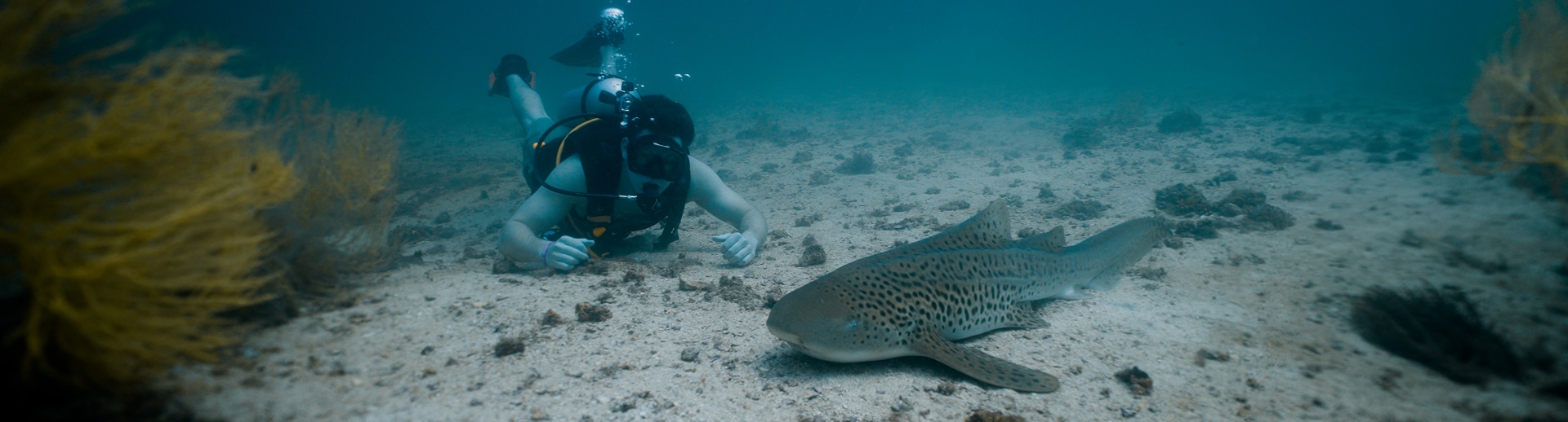 Beneath — Underwater Filmmaking still 6