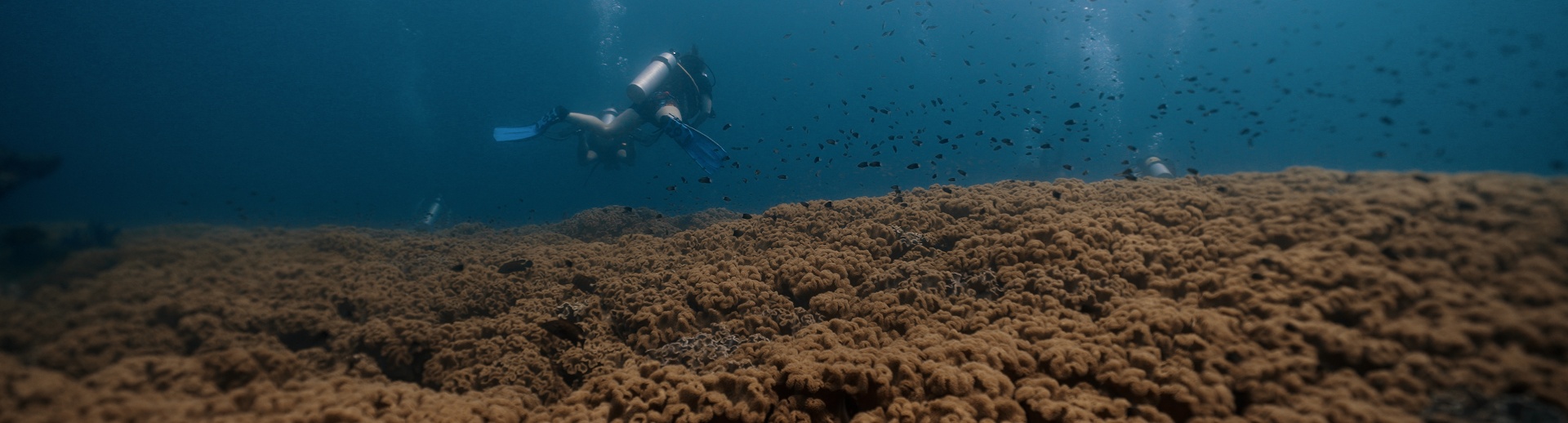 Beneath — Underwater Filmmaking still 9